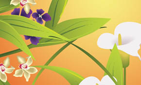 Leaves Illustrator